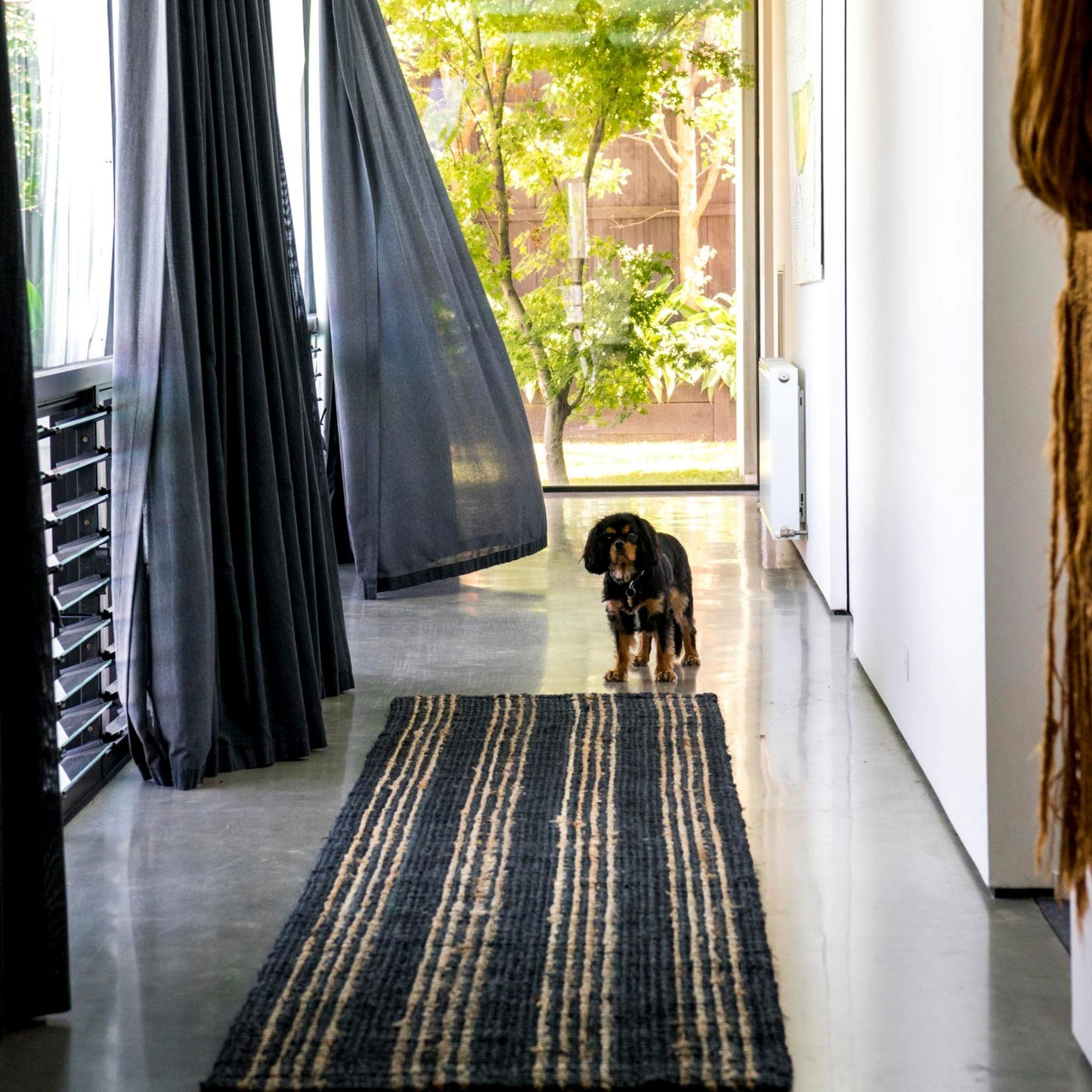 Graphite Jones graphite boucle textured area rug with a natural stripe sitting on polished concrete floor in hallway in contemporary home.