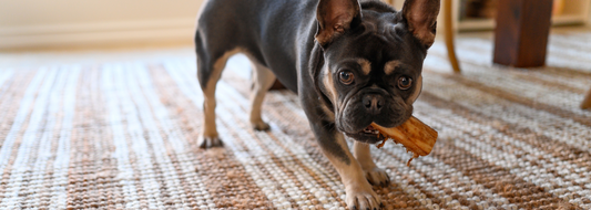 Caring for your Jute Rug