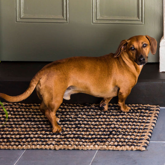 Handcrafted striped Caravan striped jute rug in a small size, placed at a front door. 